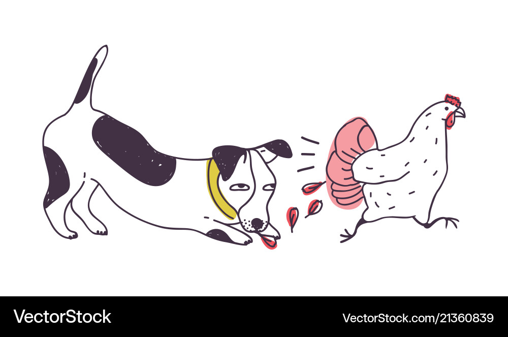 Nasty dog chasing chicken isolated on white Vector Image
