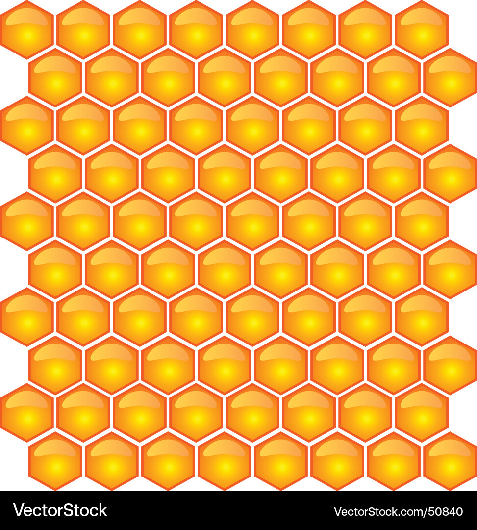 Honeycomb Pattern vector image