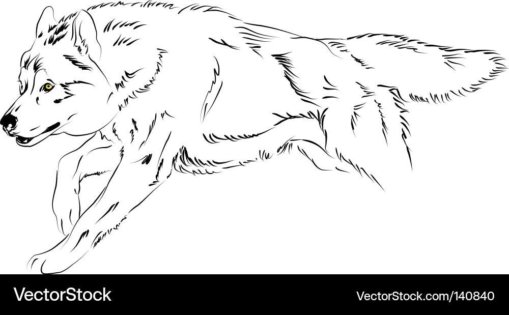 Running Wolf in Motion vector image