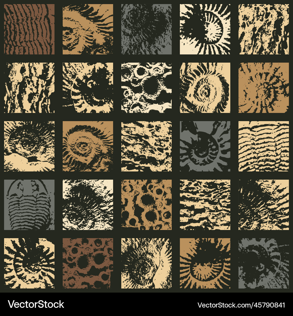 Ancient Seashell Pattern vector image