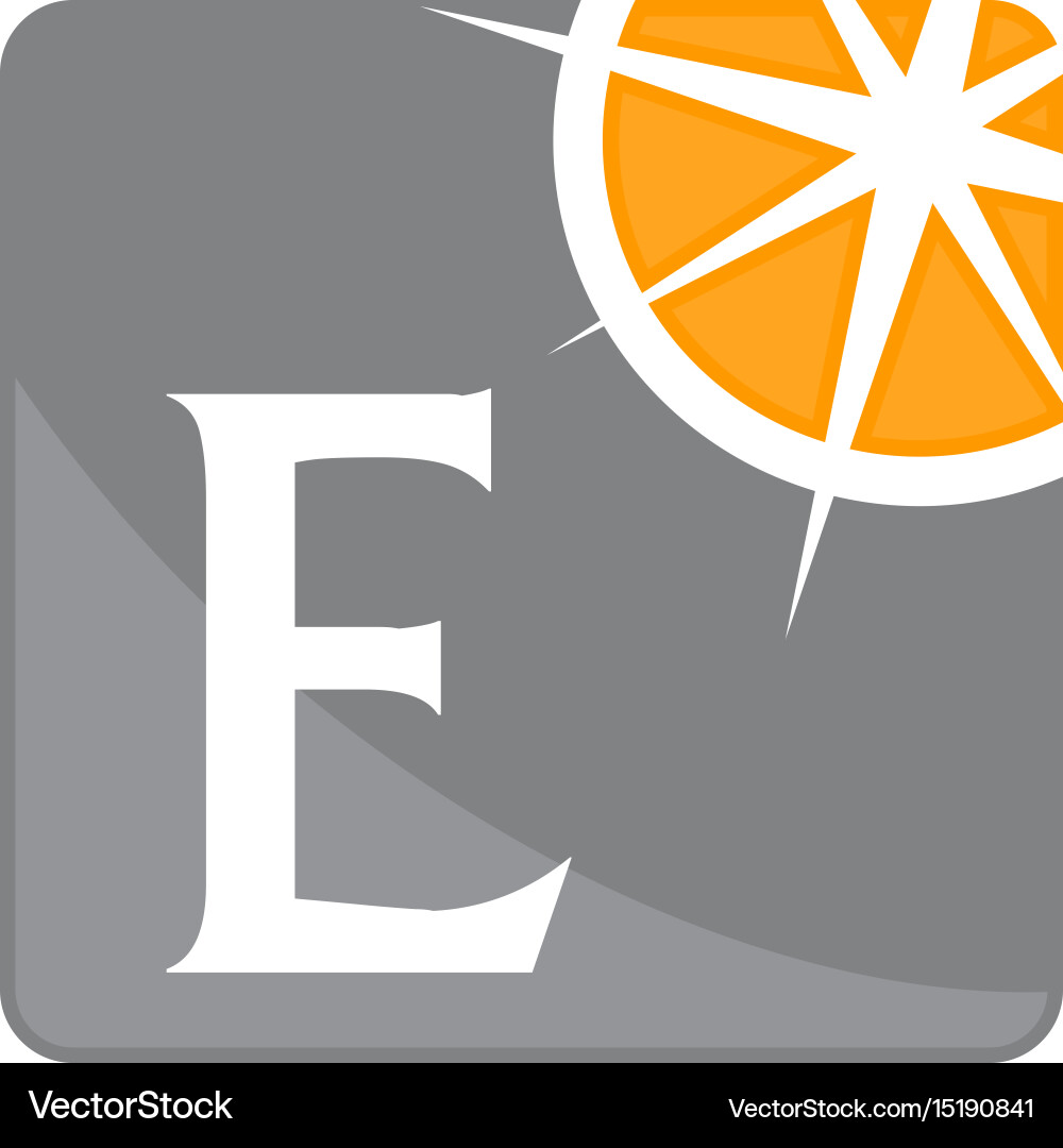 Compass guide solutions initial e vector image