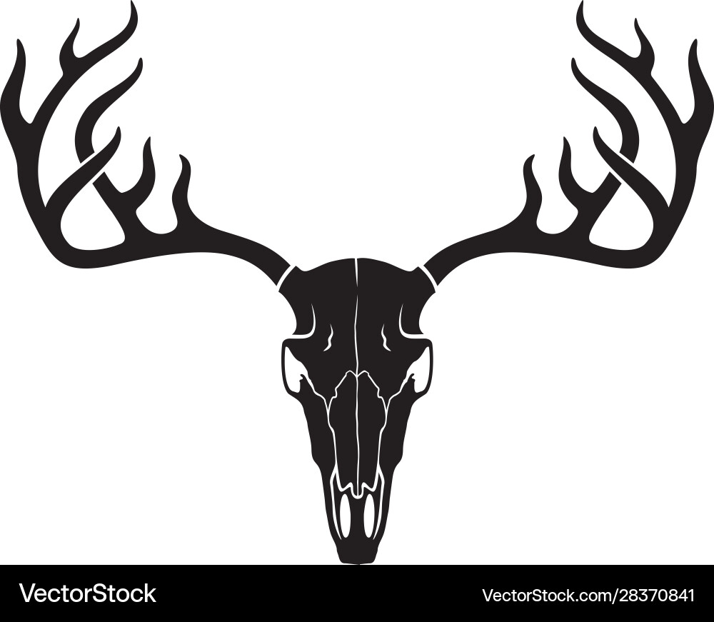 Deer Skull with Antlers - Realistic vector image