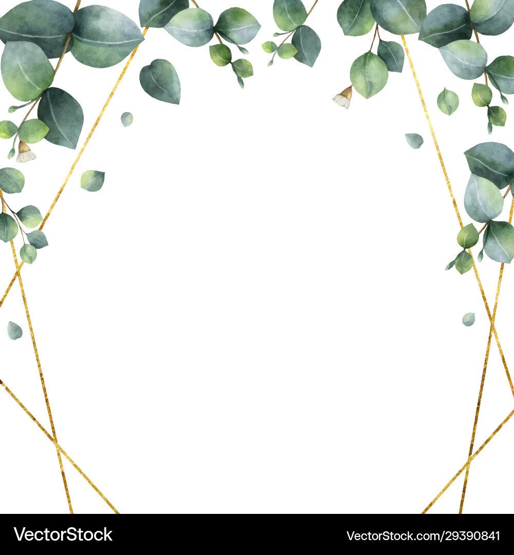 Eucalyptus Watercolor Frame vector image