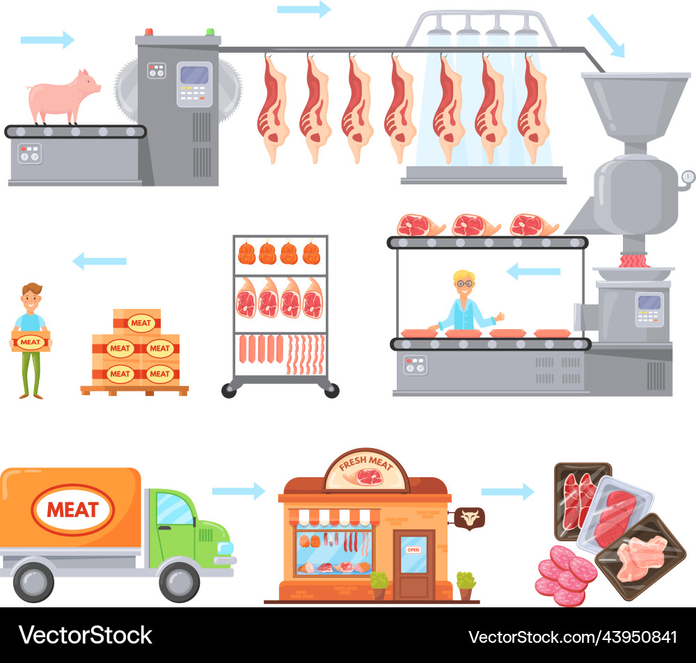 Meat manufacturing beef production process Meat manufacturing beef production process vector image