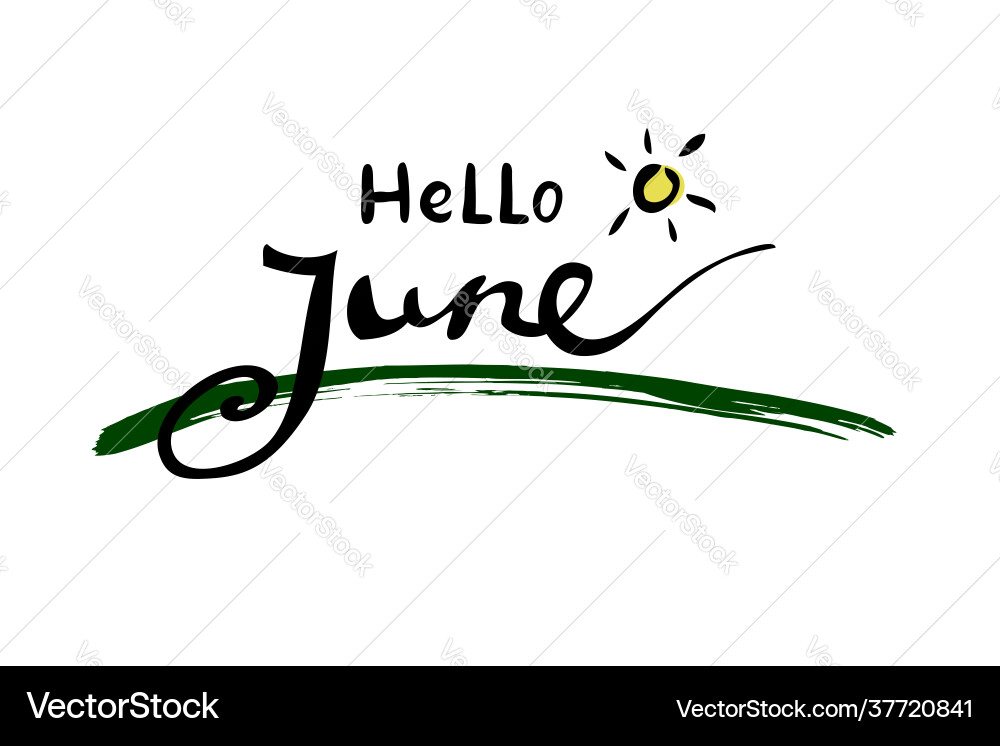 Very simple lettering hello june isolated on white Vector Image