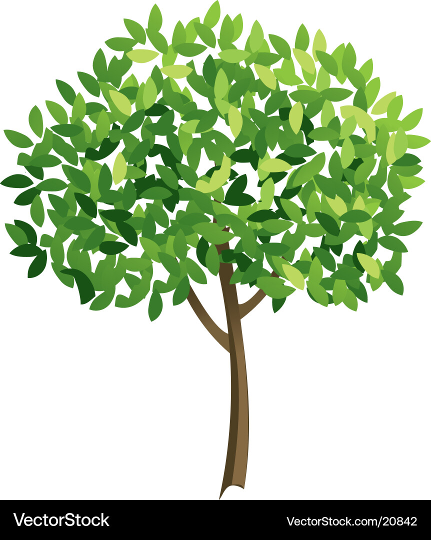 Stylized Tree with Leaves Vector Image