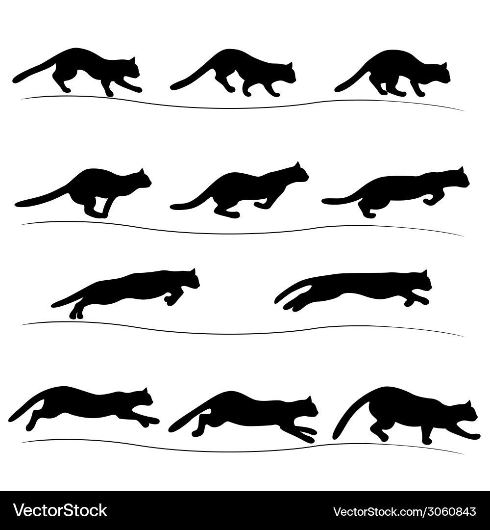 Running Black Cat Silhouettes – Royalty-Free Vector | VectorStock, image size:1000x1080