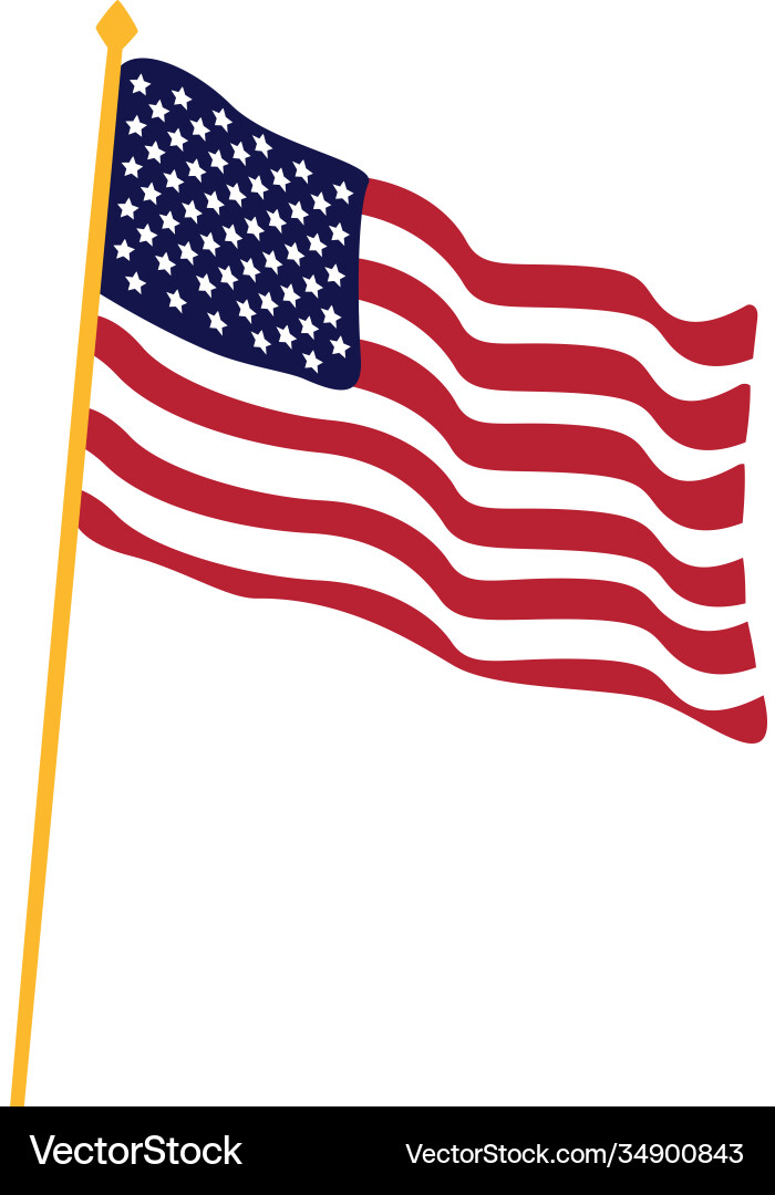 United states america flag in pole United states america flag in pole vector image