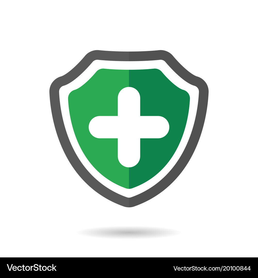 Add shield icon Vector Image