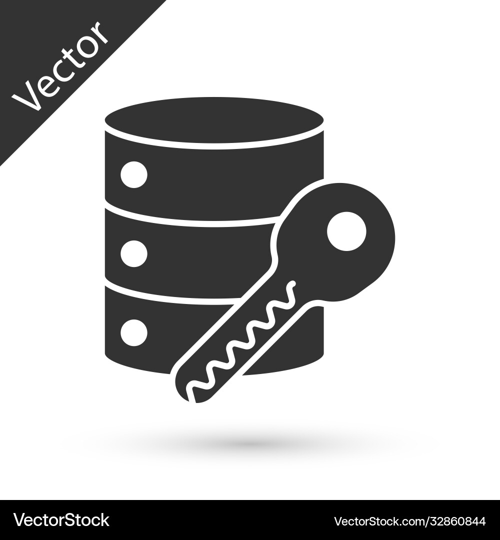 Grey server security with key icon isolated Grey server security with key icon isolated Vector Image