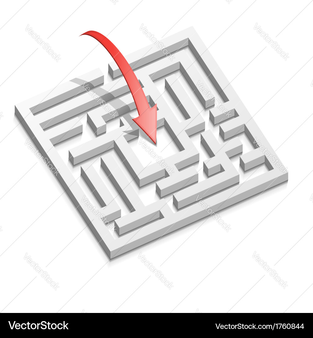 Labyrinth Decision Path vector image