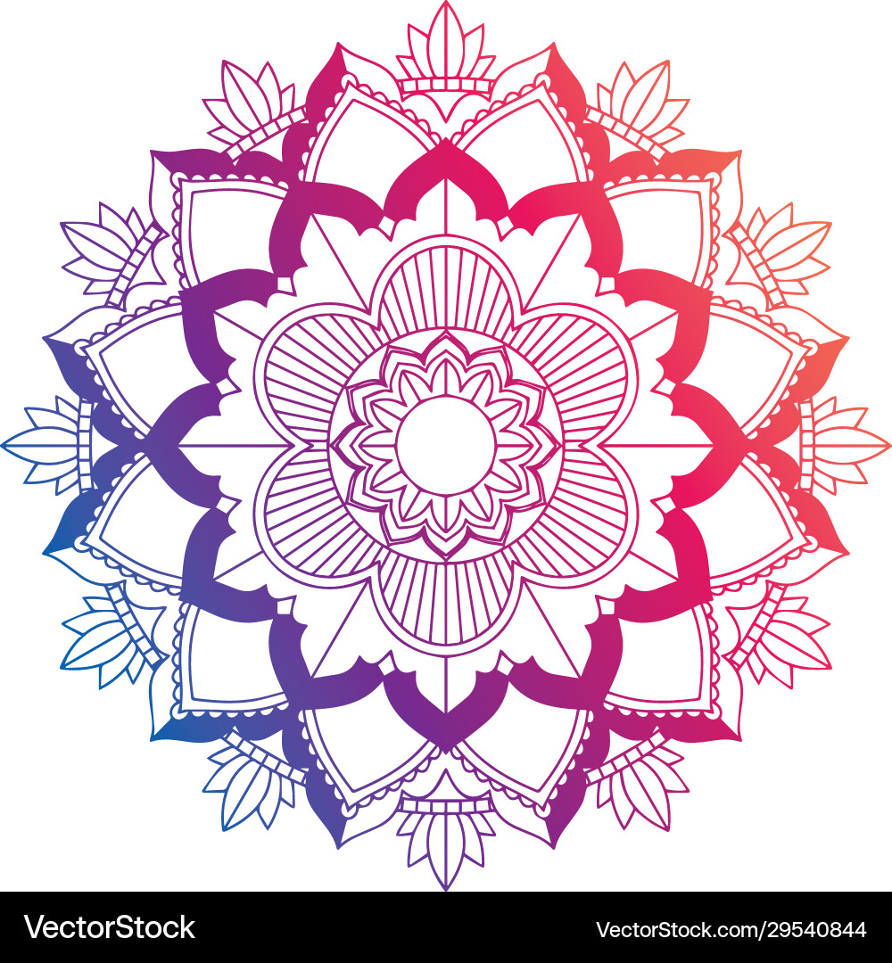 Mandala patterns on isolated background vector image