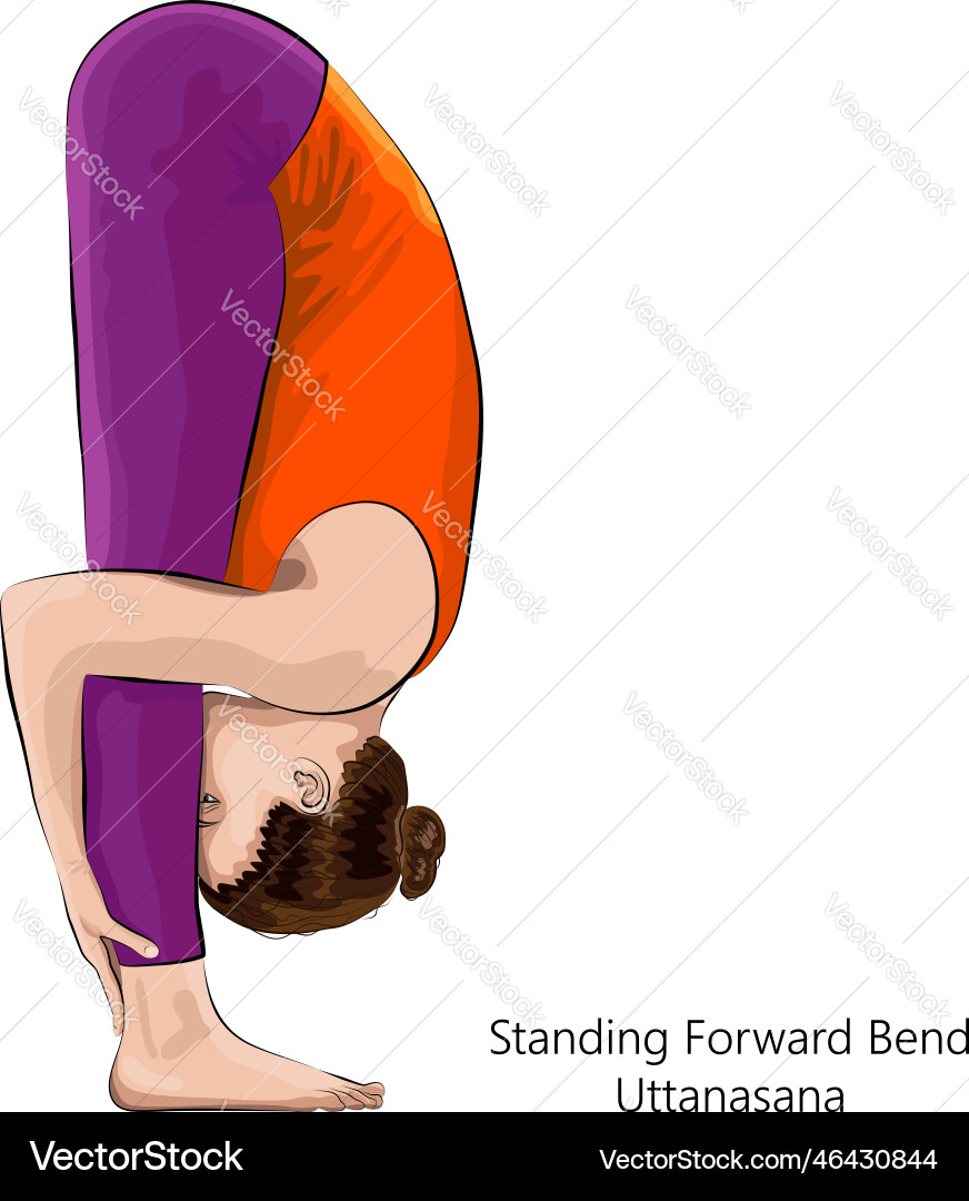 Vorwärtsbiegen Pose oder uttanasana Vorwärtsbiegen Pose oder uttanasana vektorbild