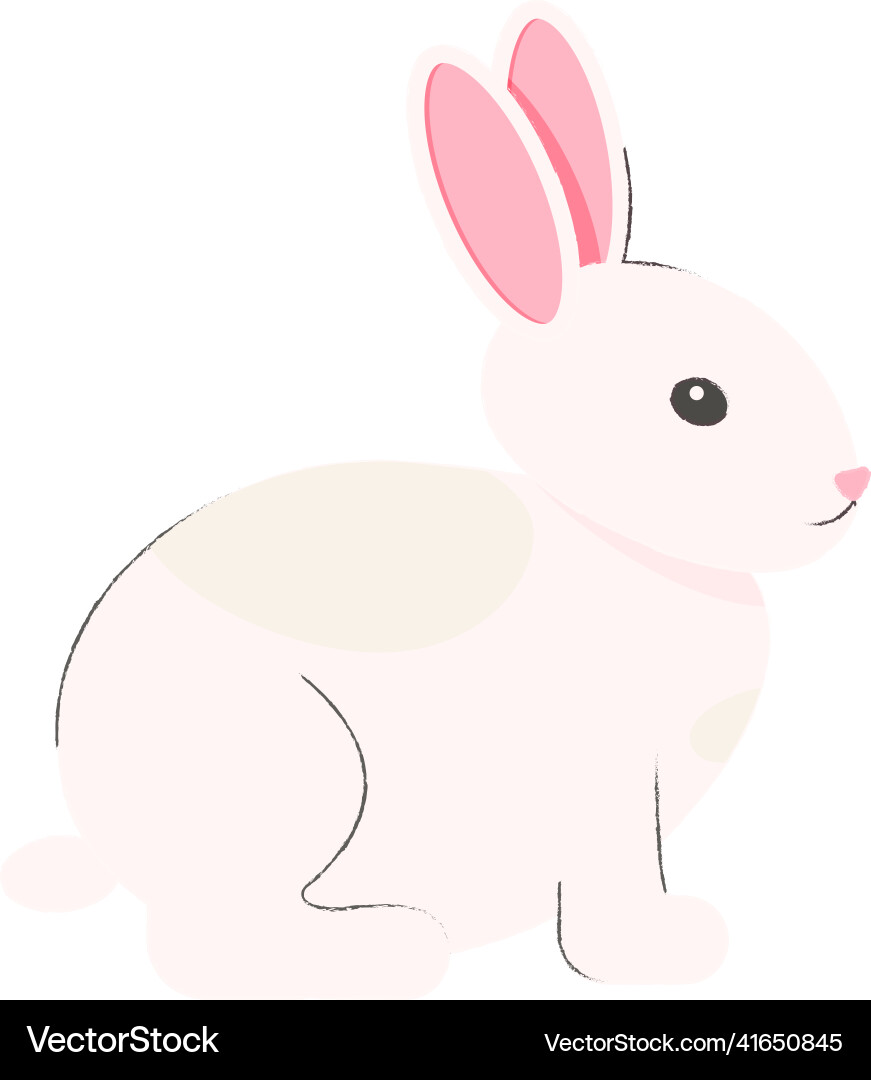 Cute white rabbit sitting Cute white rabbit sitting vector image