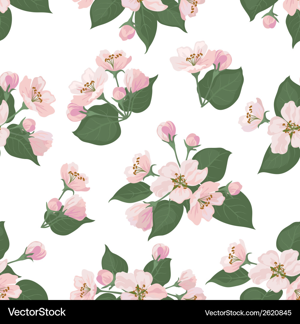 Pink Apple Blossom Floral Pattern Vector Image