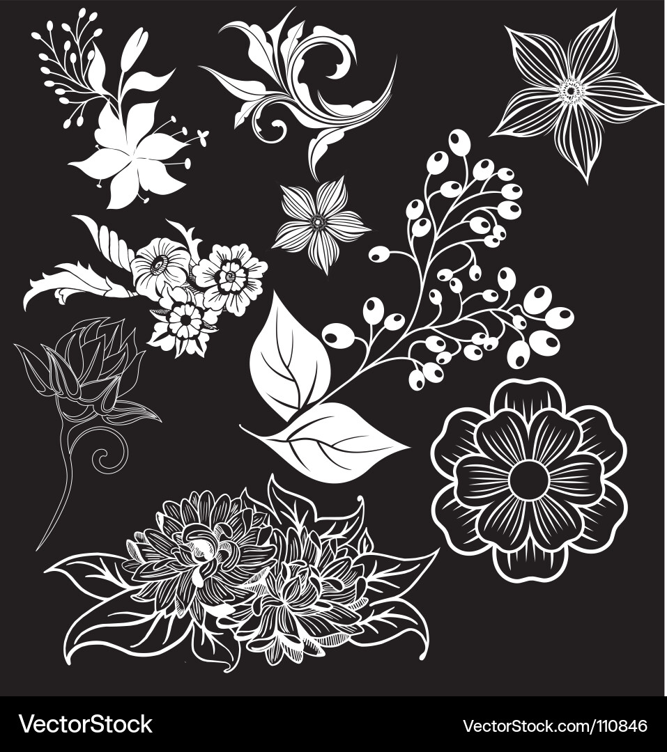 Intricate Floral Swirls Vector Image