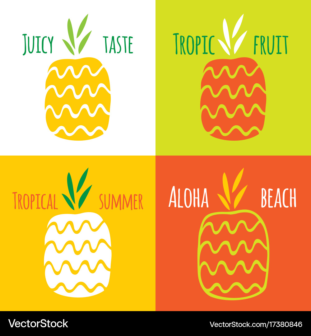 Set of pineapples and two seamless patterns Vector Image