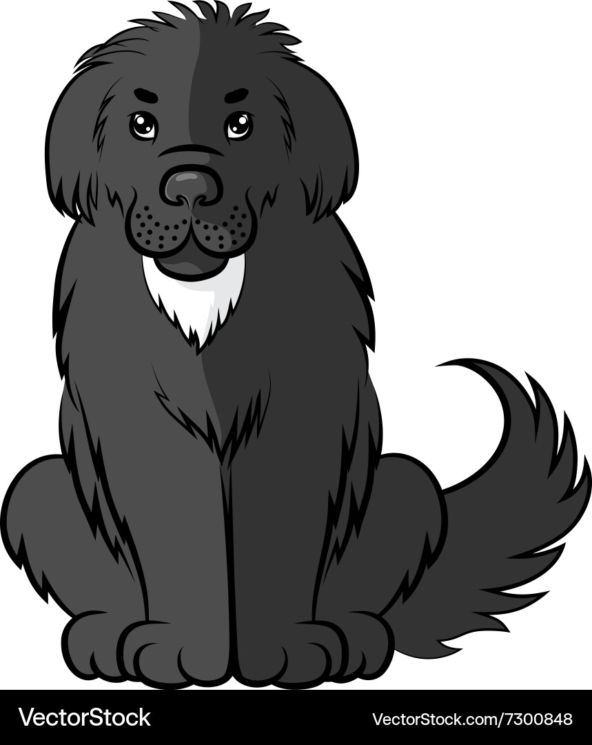 Big fluffy dog Royalty Free Vector Image VectorStock