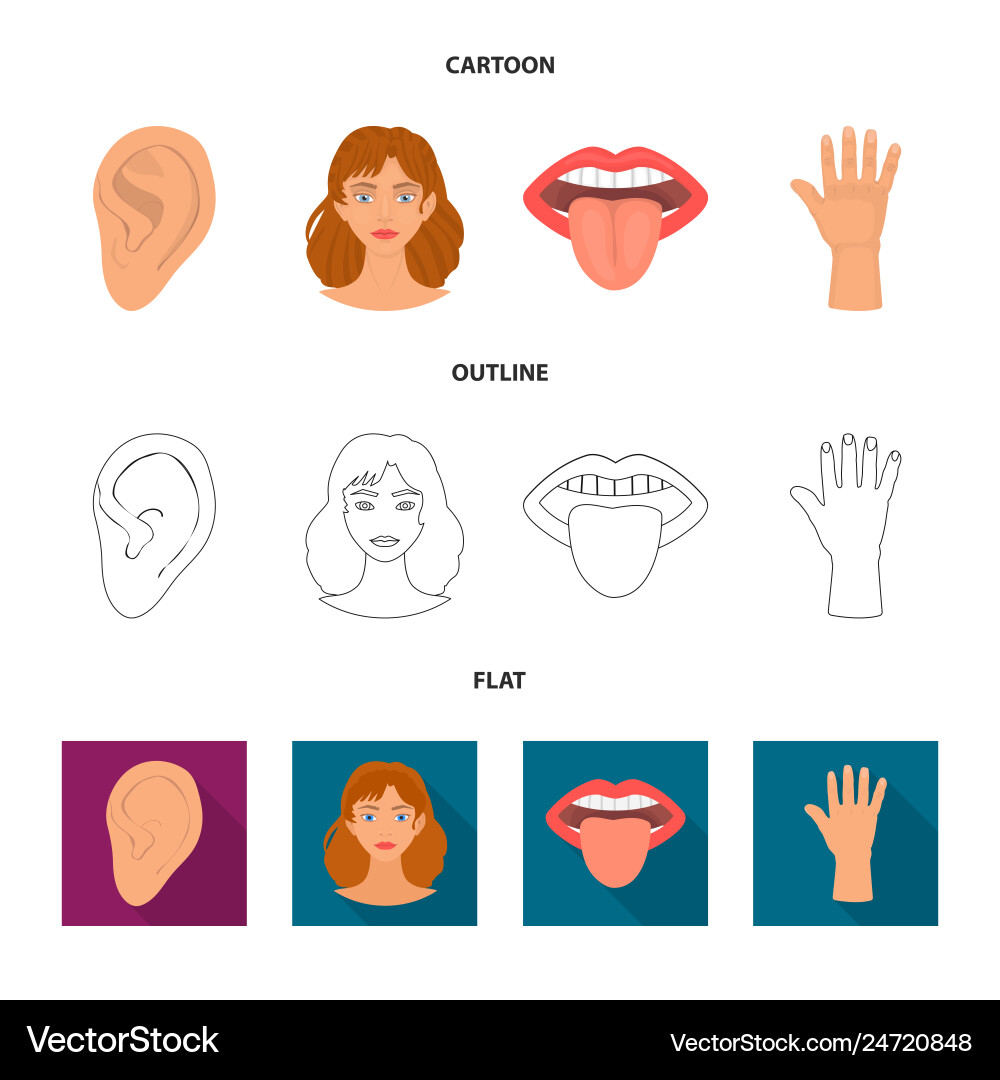 Isolated object of body and part logo set Isolated object of body and part logo set vector image