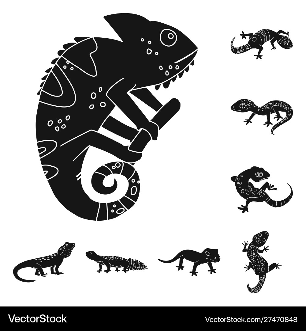 Isolated object zoo and environment logo Isolated object zoo and environment logo vector image