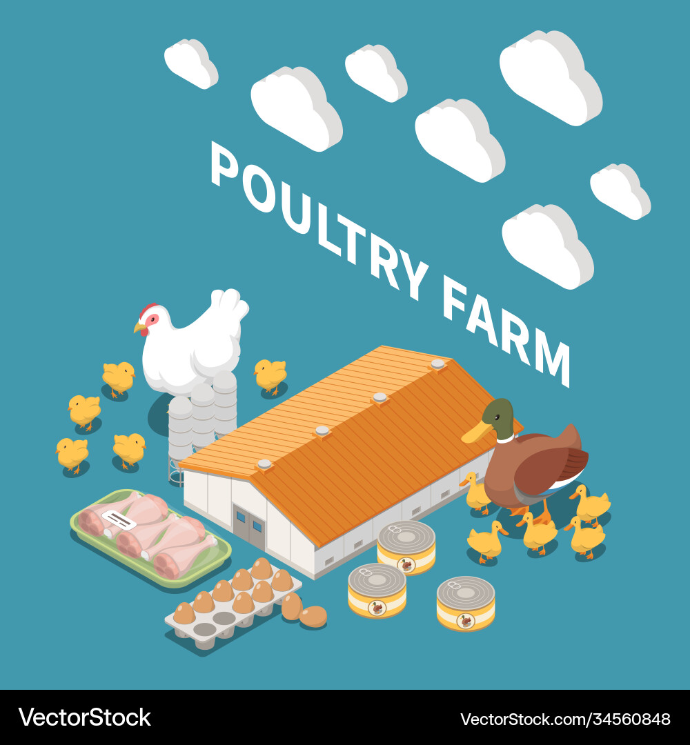 Poultry farm isometric composition Royalty Free Vector Image