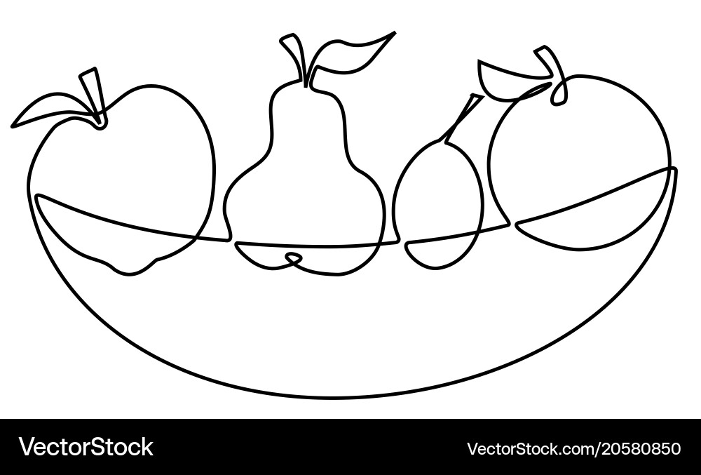 Single Line Fruit Sketch Vector Image