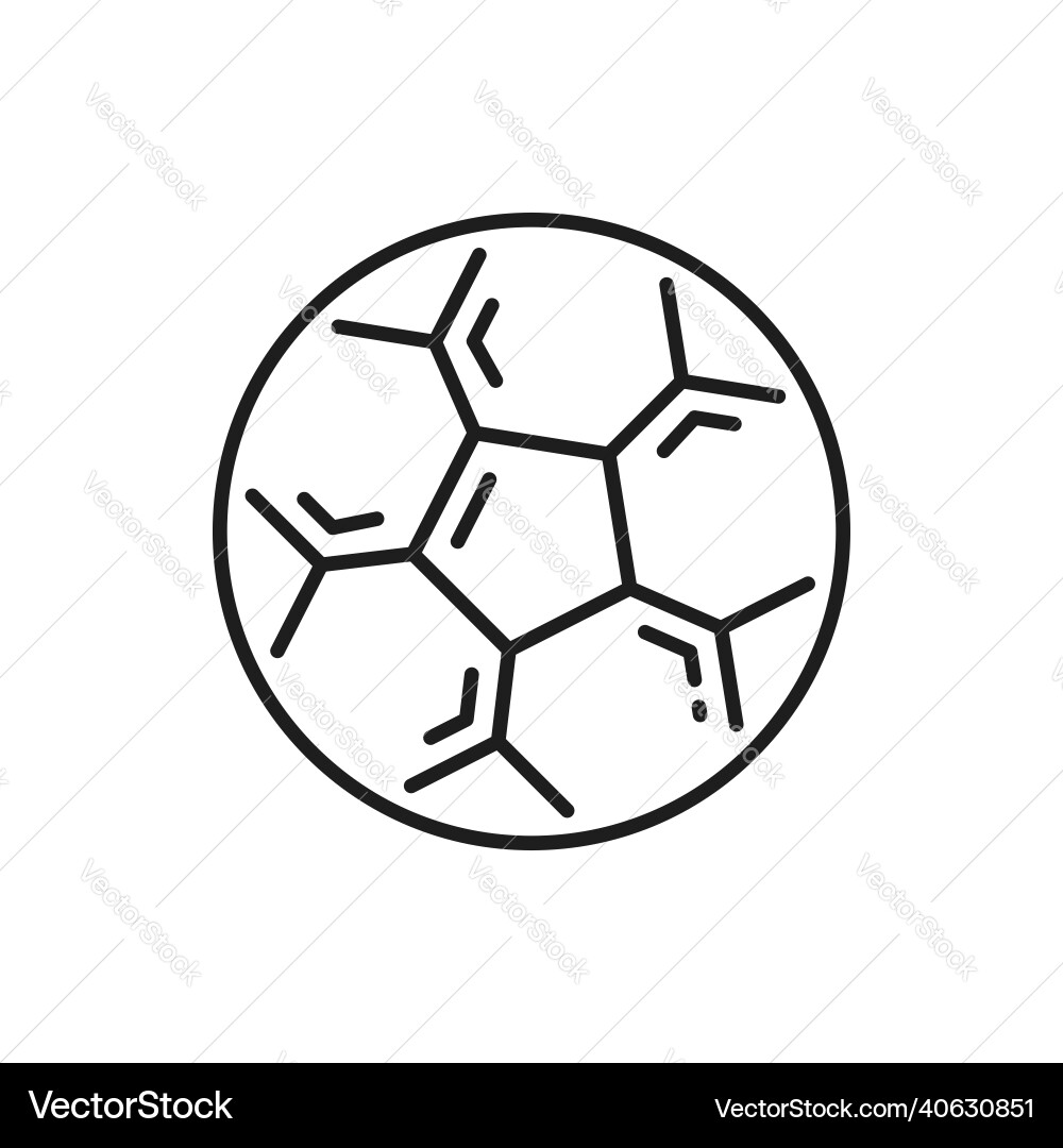 Football soccer ball isolated thin line sport icon vector image