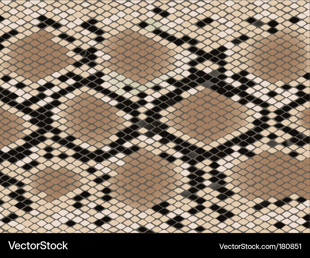 Snake Scale Pattern Vector Image