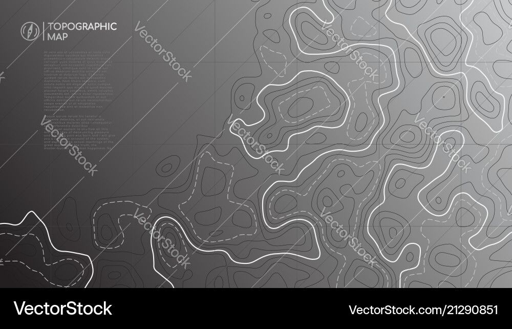 Topographic Line Map Abstract Vector Image