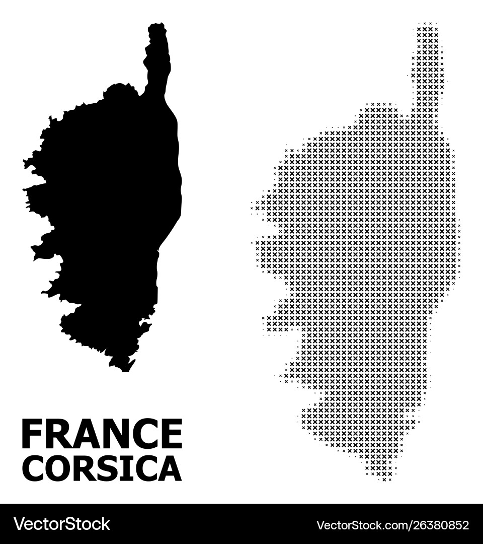 Halftone pattern and solid map corsica Vector Image