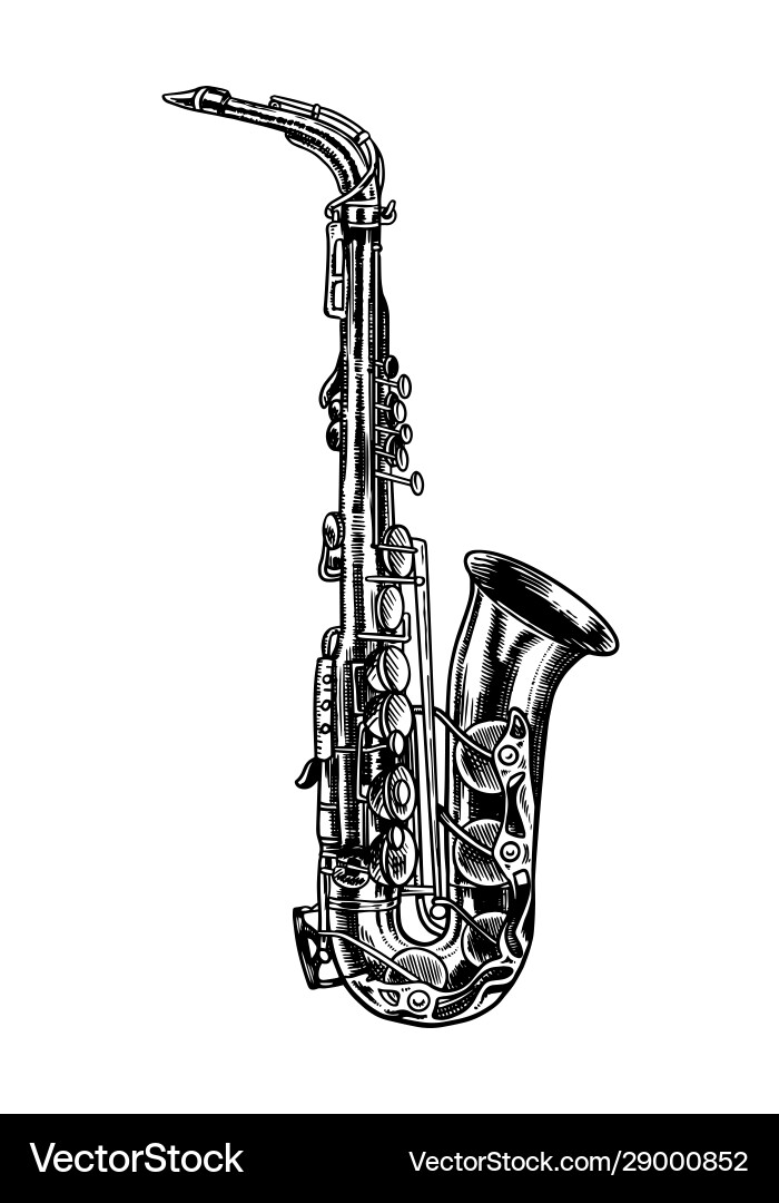 Jazz saxophone in monochrome engraved vintage Jazz saxophone in monochrome engraved vintage vector image