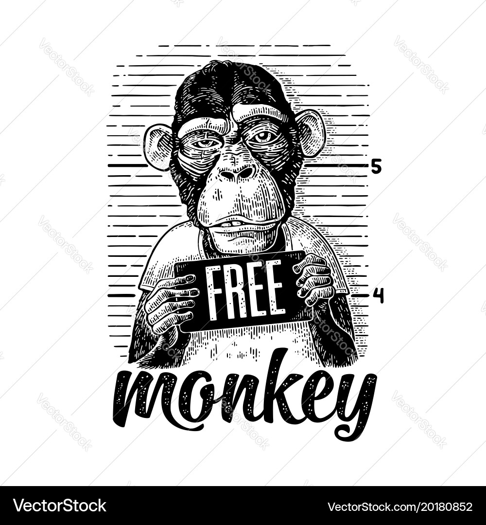 Monkey Mugshot - Police Style Vector Image