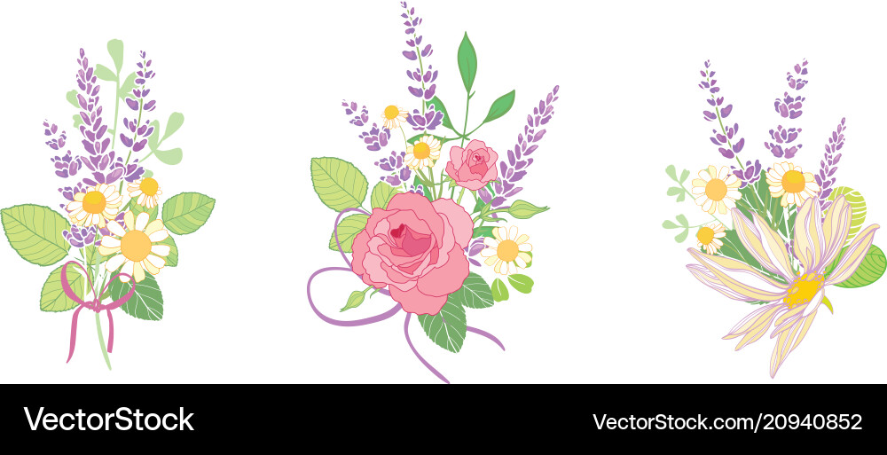 Set von drei Rosen und Lavendel Blumen Bouquets Set von drei Rosen und Lavendel Blumen Bouquets vektorbild