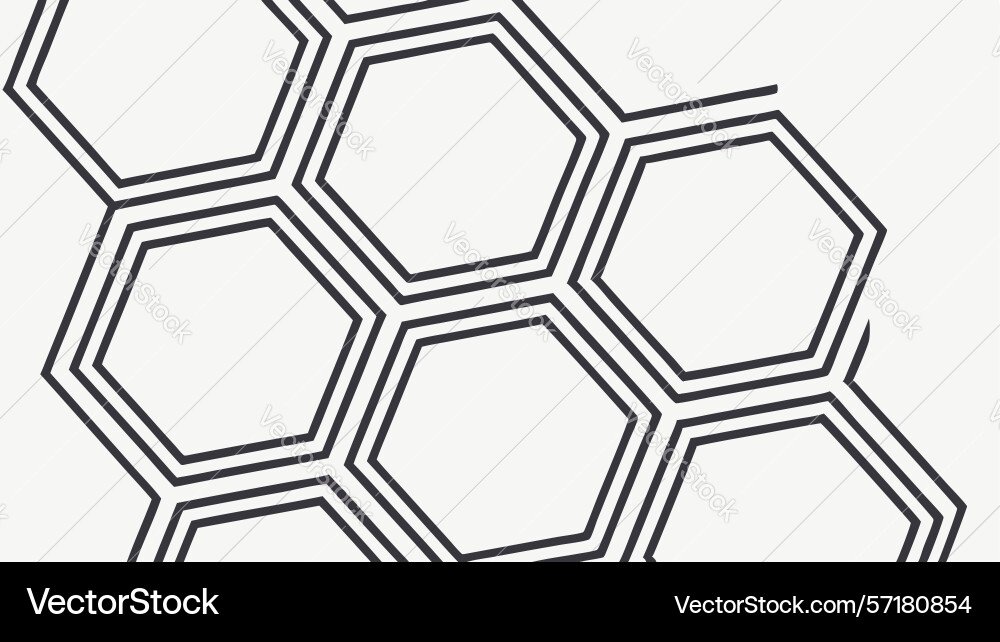 Abstract hexagonal honeycomb pattern organic vector image