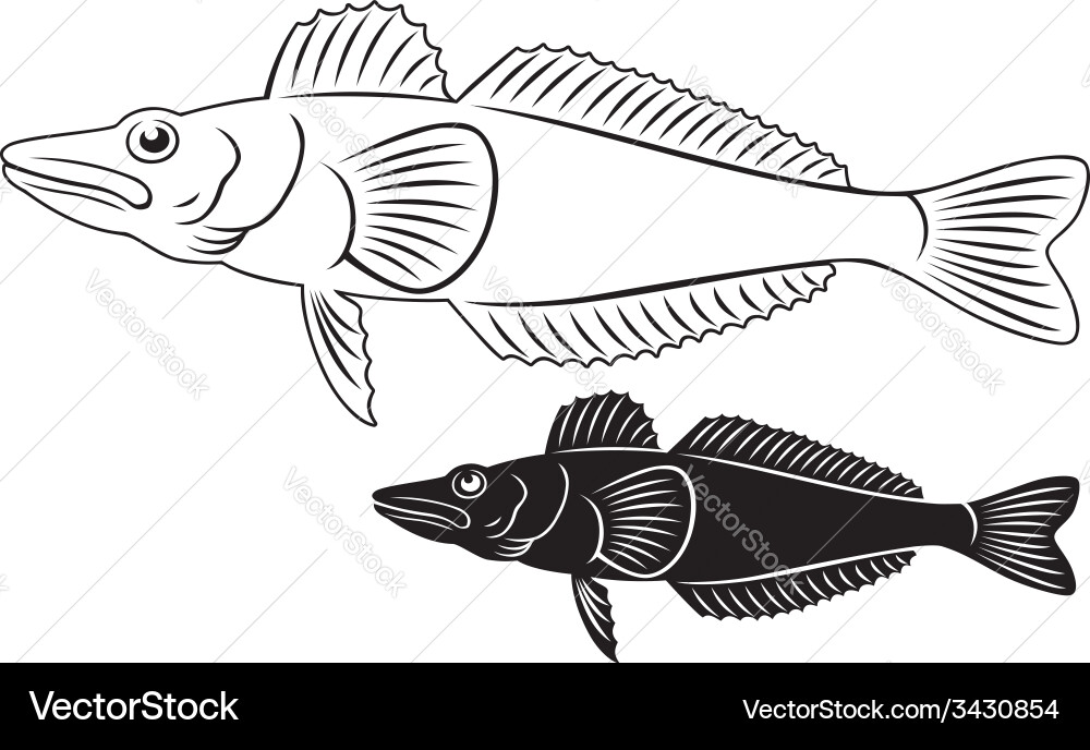 Cold Fish Vector Icefish Royalty Free Vector Image - VectorStock