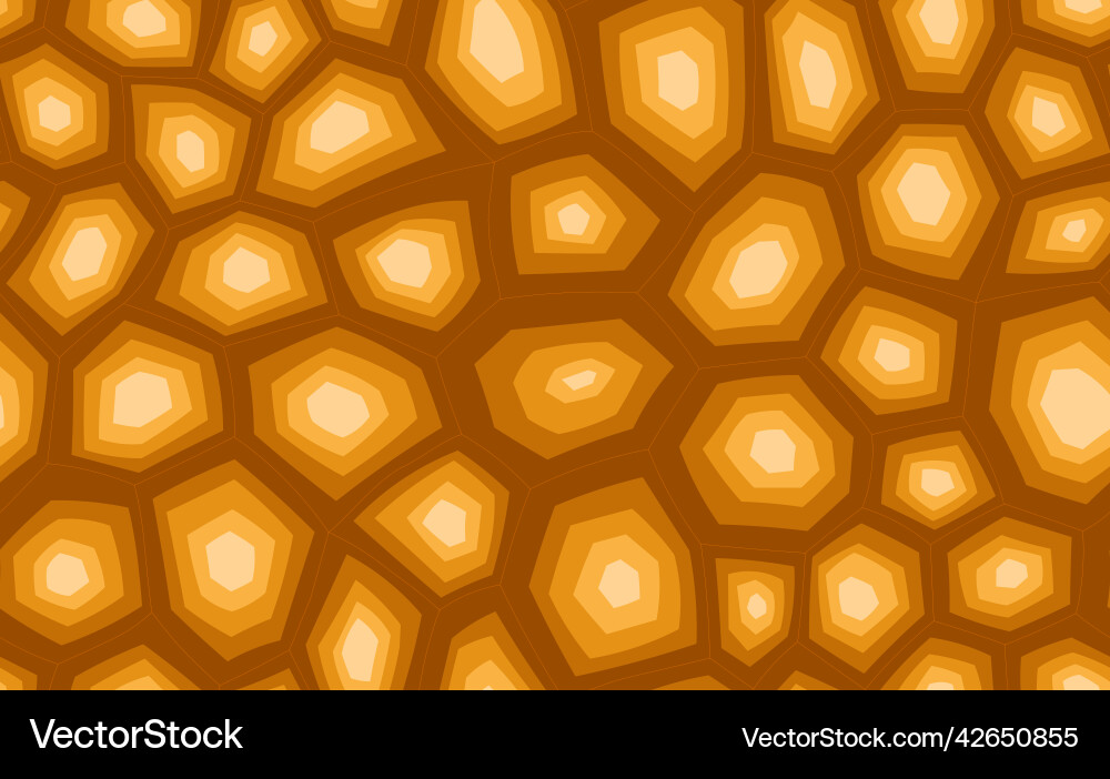 Modern Turtle Shell Pattern vector image