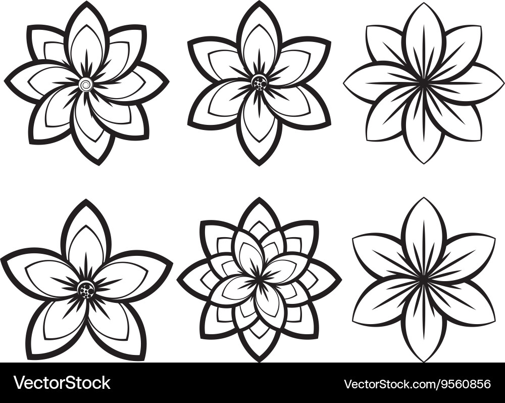 Black and White Floral Sketches – Free Vector | VectorStock, image size:1000x797