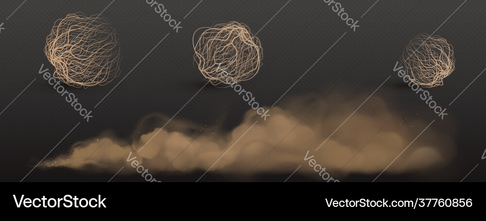 Brown dust clouds and tumbleweed Brown dust clouds and tumbleweed vector image