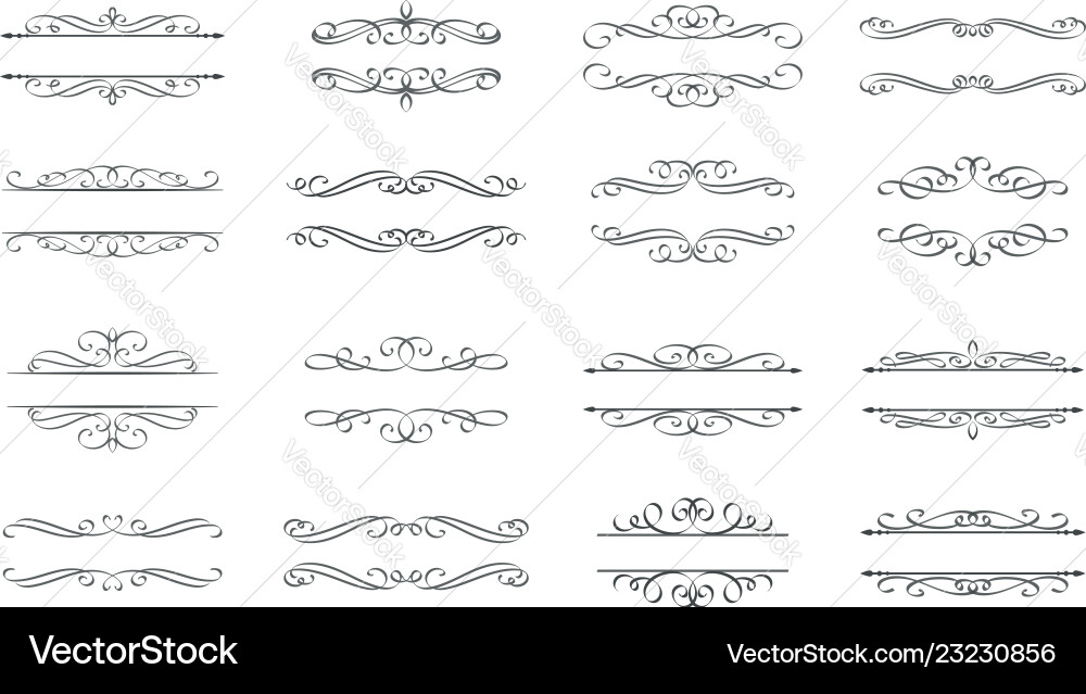 Calligraphic Scroll & Swirl Elements vector image