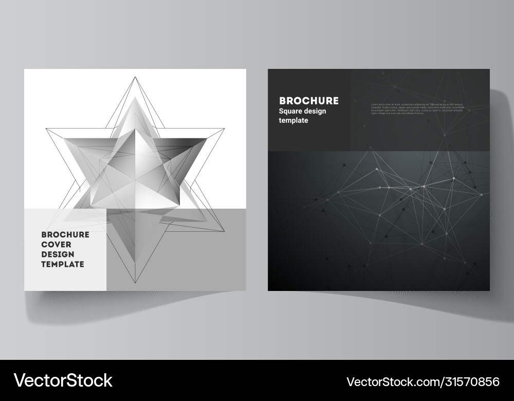 Minimal layout two square format covers Minimal layout two square format covers vector image