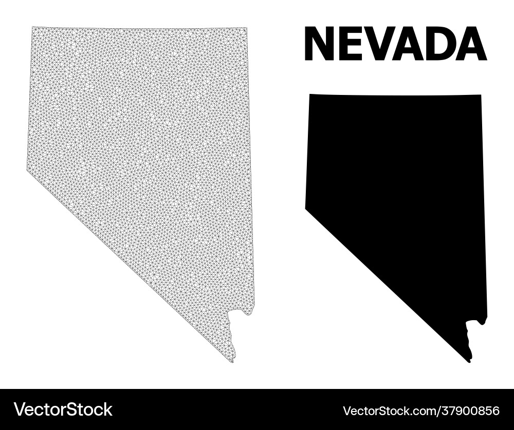 Polygonal network mesh high resolution map Polygonal network mesh high resolution map vector image