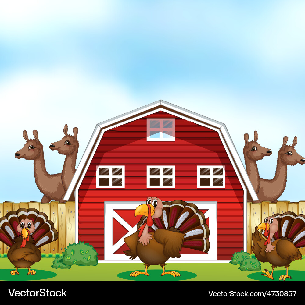 Farm animals Royalty Free Vector Image - VectorStock