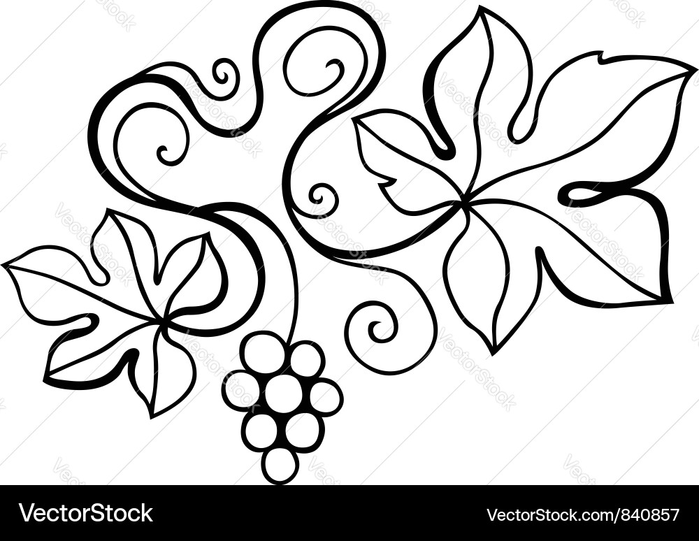 Grapevine Motif Vector Image