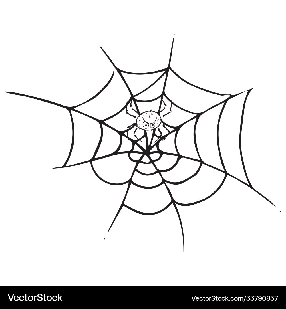 Spider on web icon with a net Vector Image