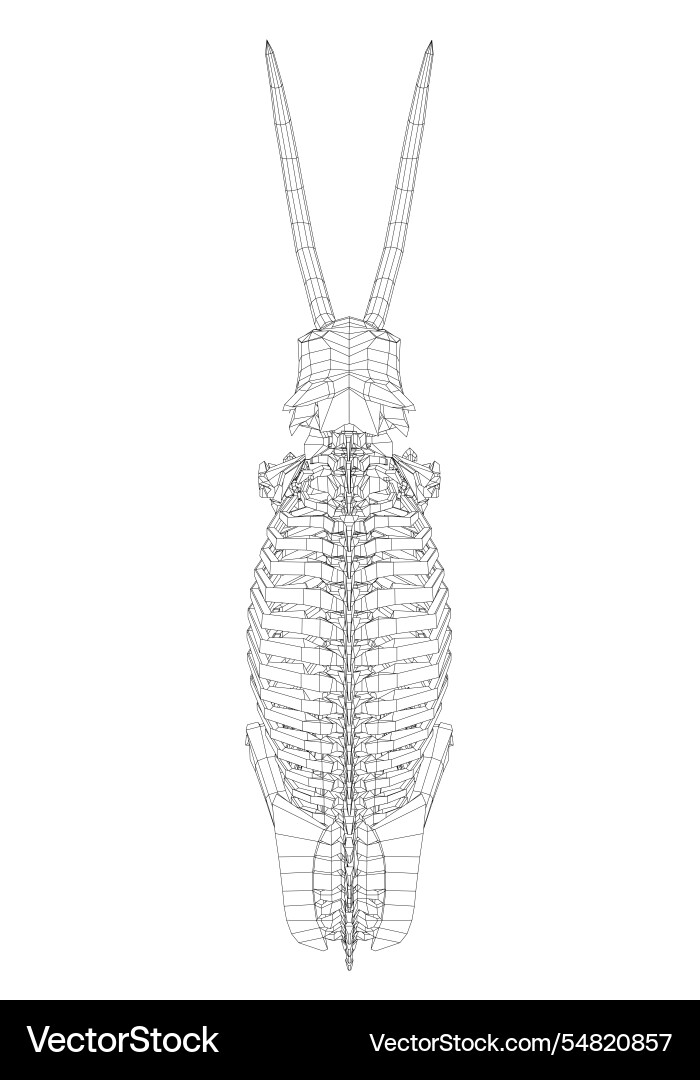 Wireframe mammoth skeleton on isolated white Wireframe mammoth skeleton on isolated white Vector Image