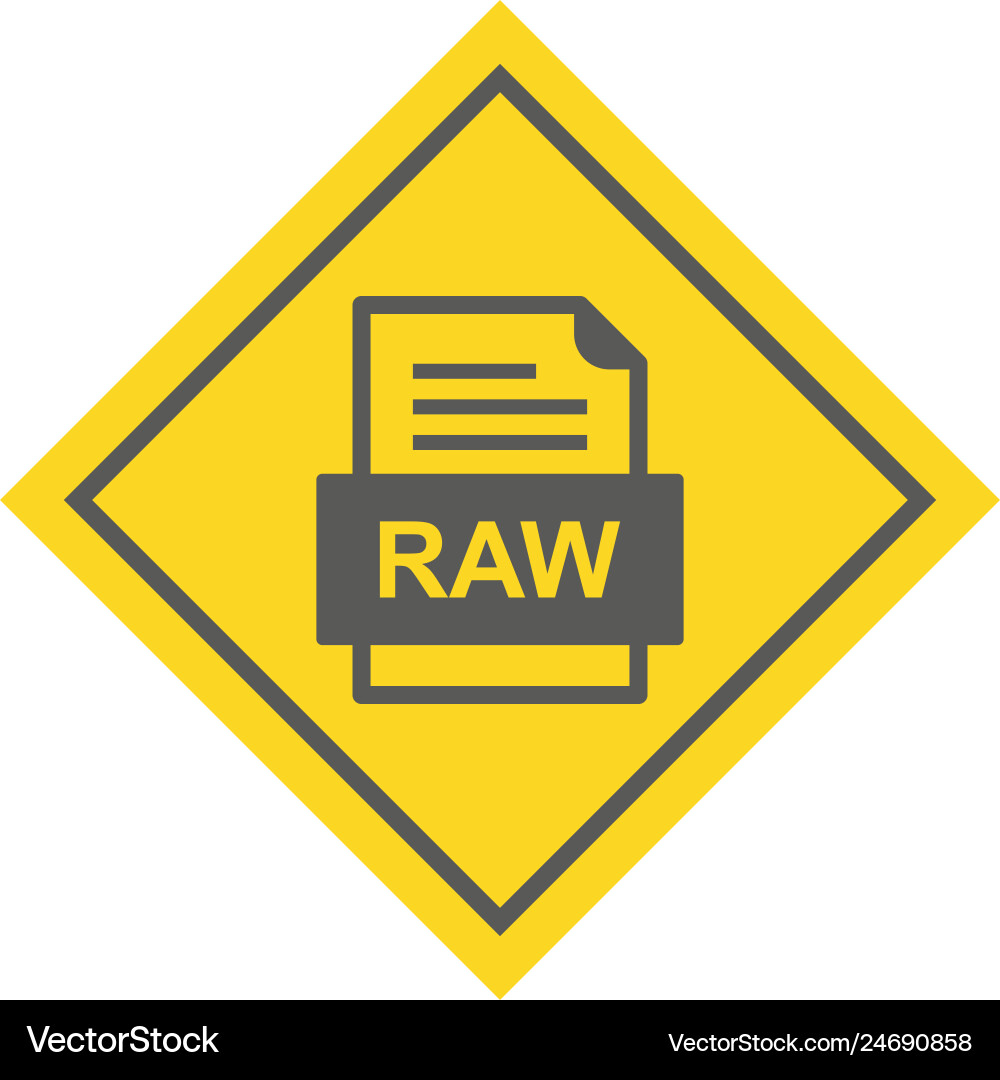 Raw file document icon Vector Image
