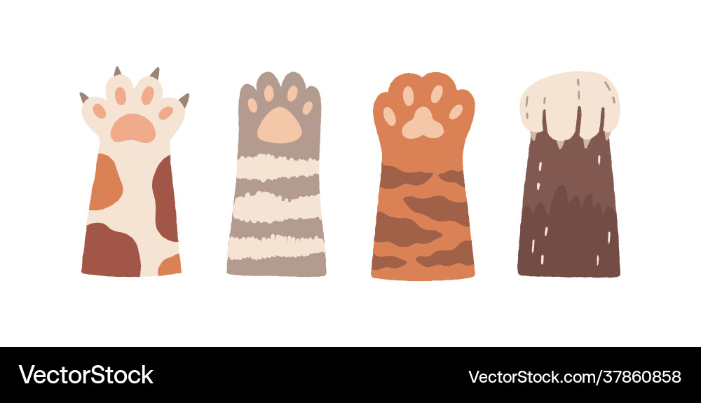 Set cute cat paws with claws and soft pads vector image