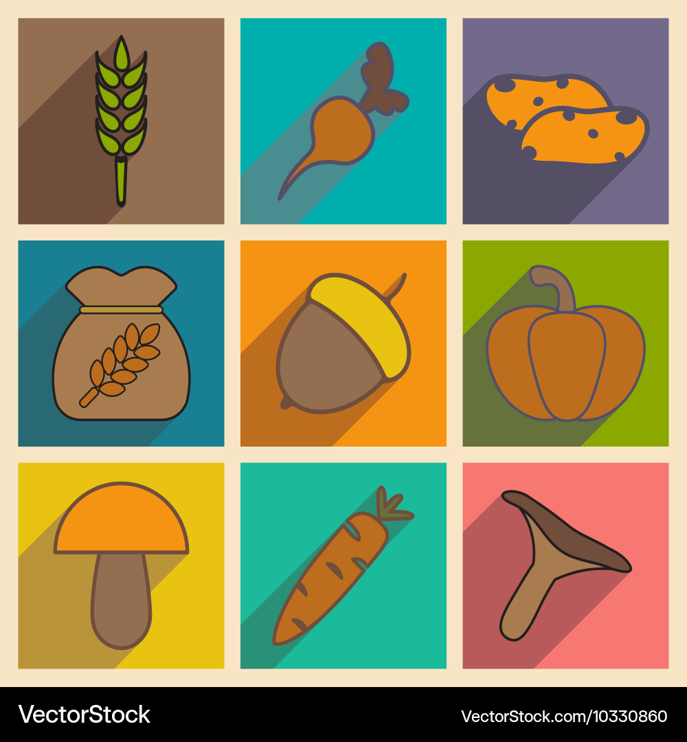 Flat with shadow concept and mobile application Vector Image