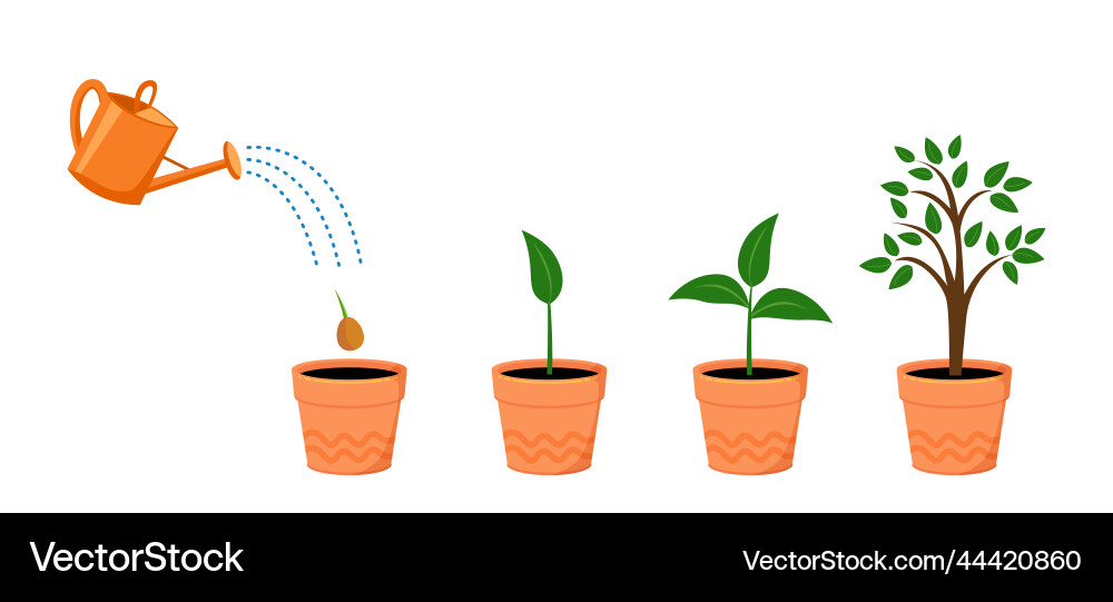 Watering can with plant tree growth stages Watering can with plant tree growth stages vector image