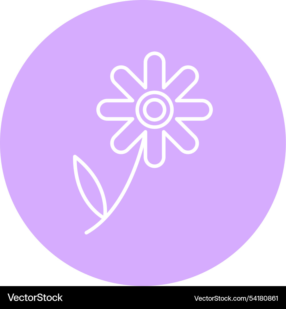 Chamomile line circle icon Vector Image